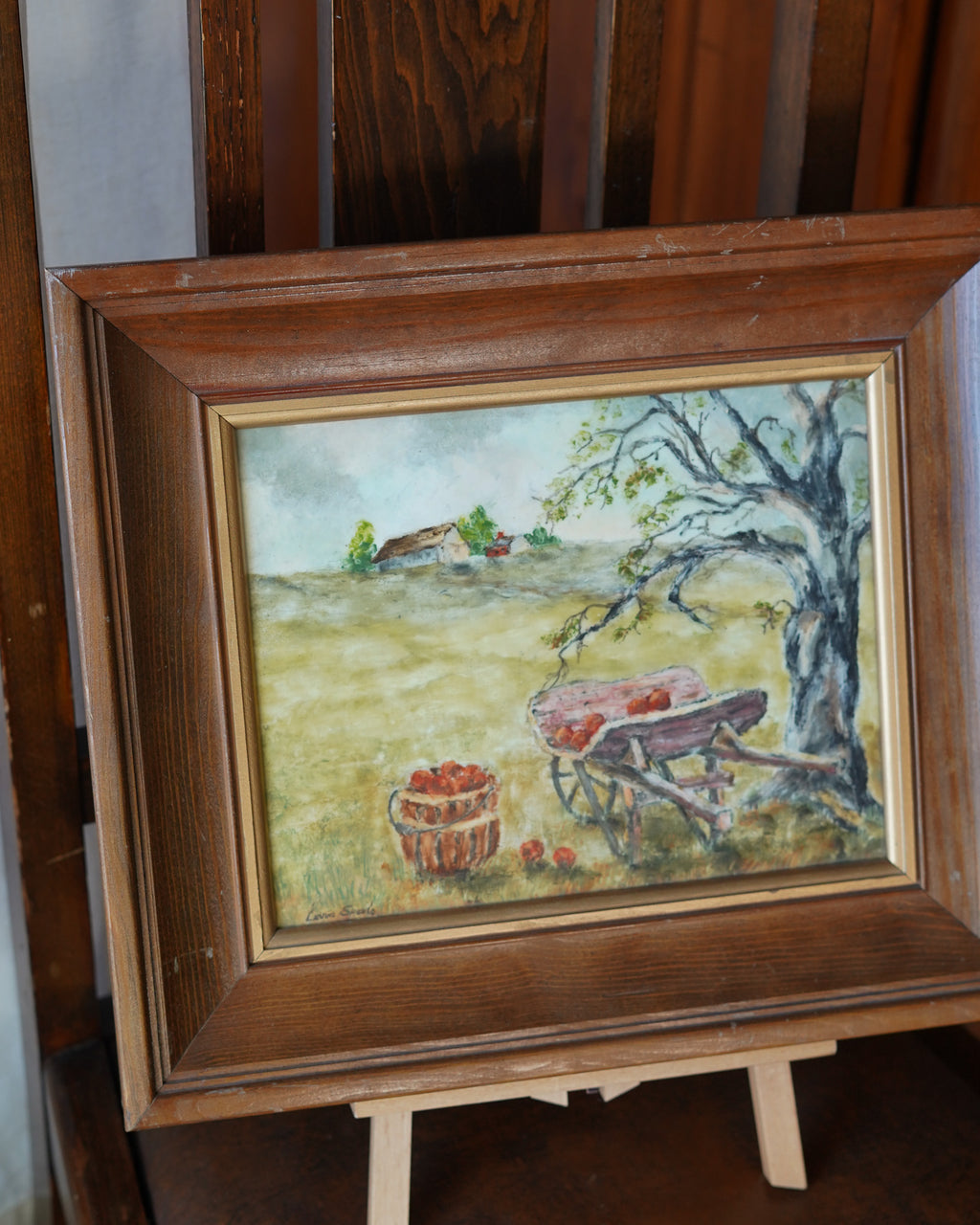 Vintage Apple tree — Lot 19