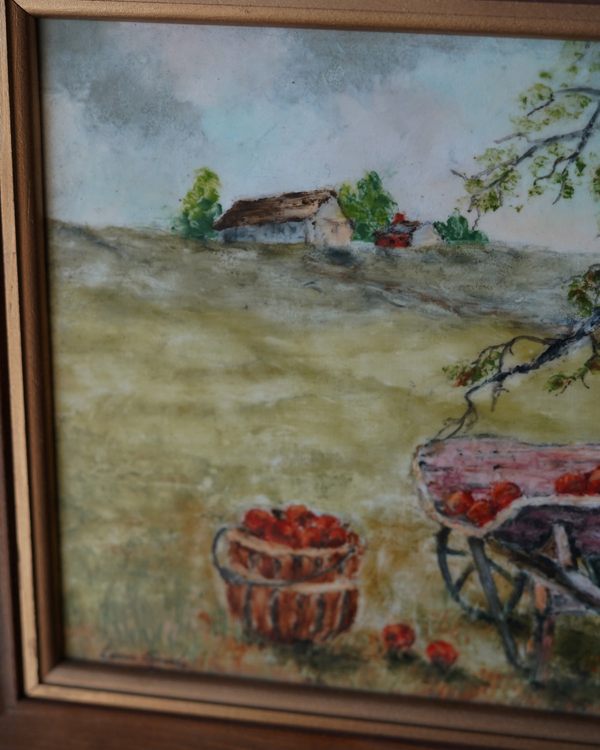 Vintage Apple tree — Lot 19