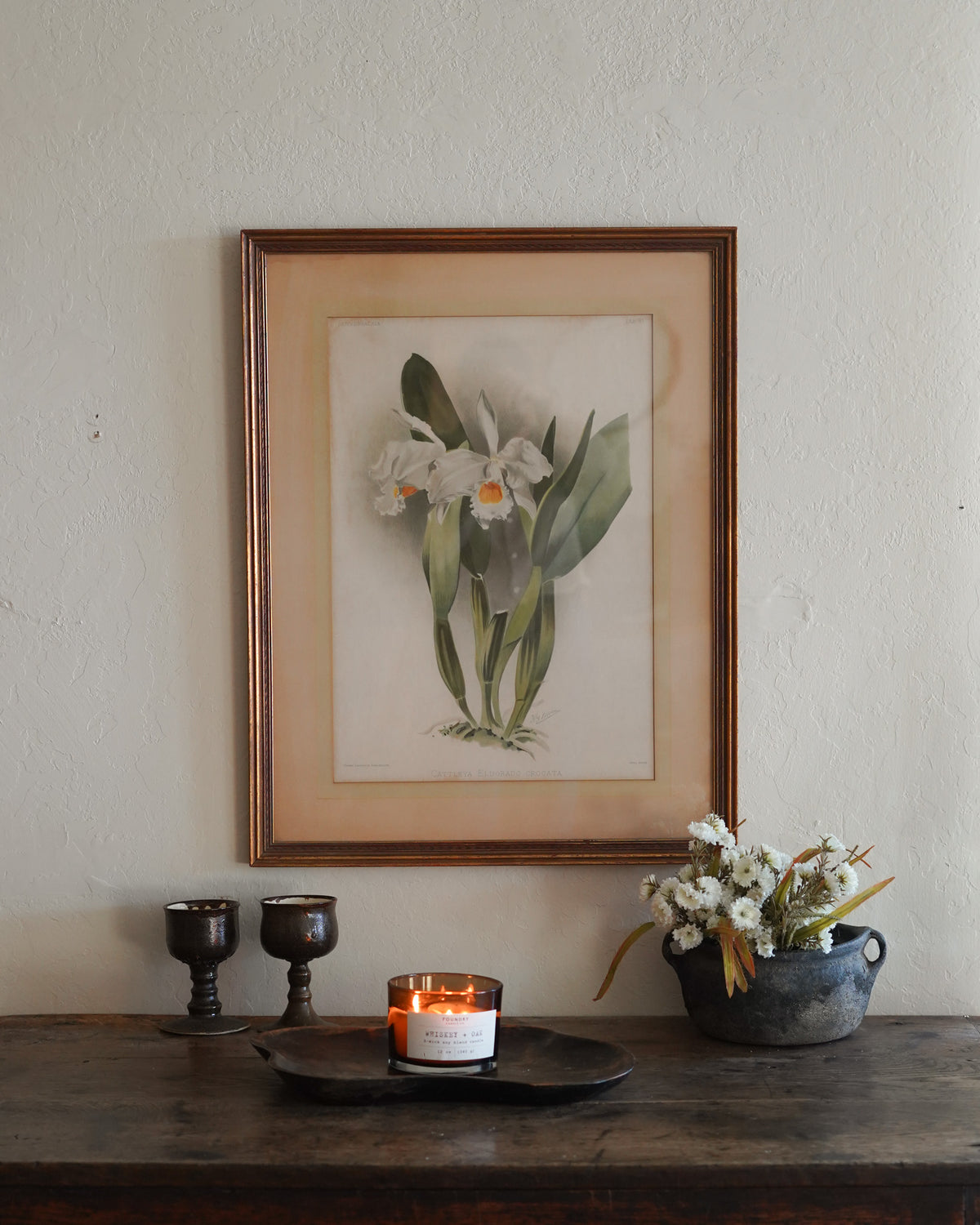 Cattleya Orchid Botanical Print — Lot 4