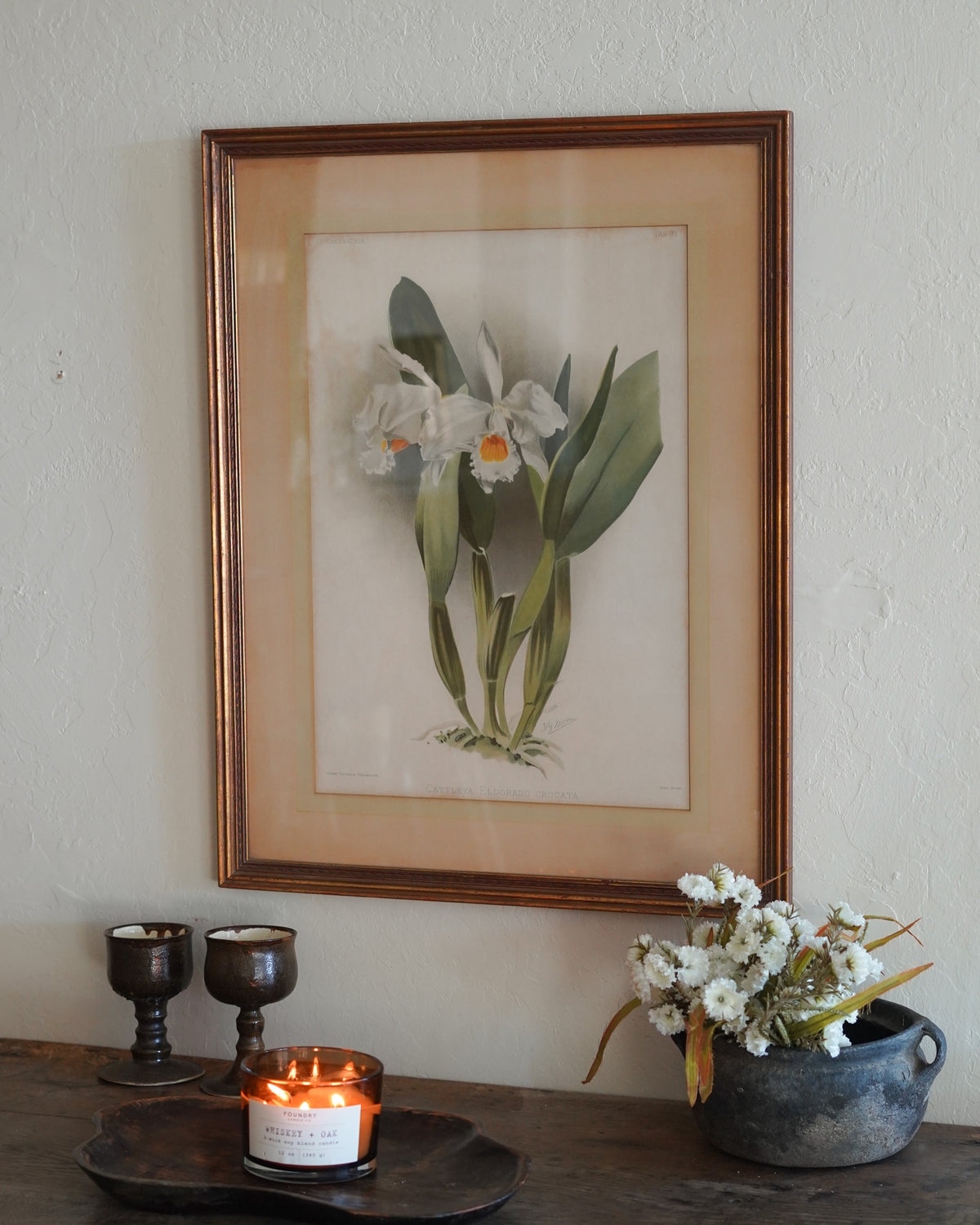 Cattleya Orchid Botanical Print — Lot 4