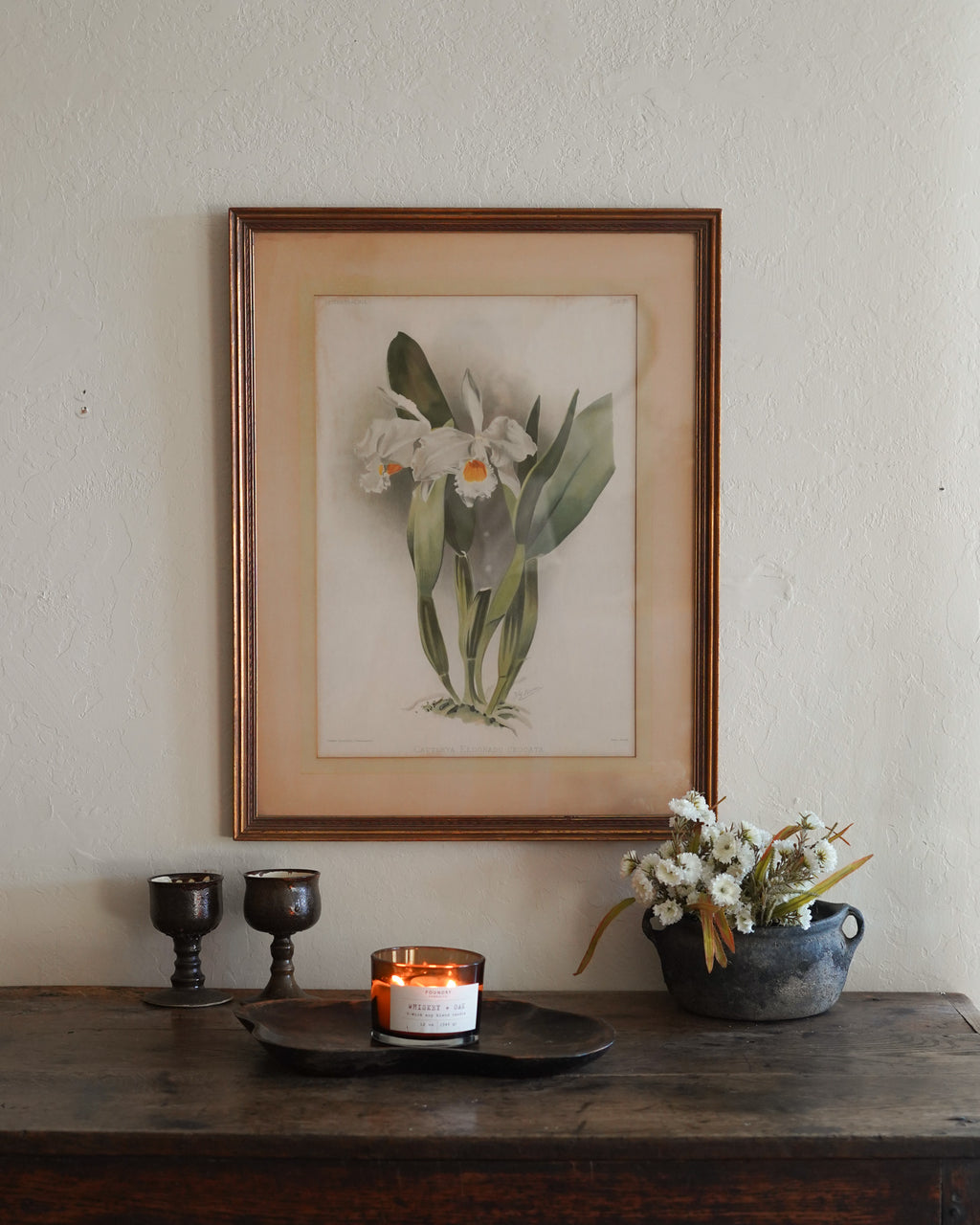 Cattleya Orchid Botanical Print — Lot 4