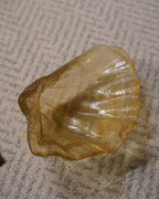 Vintage Resin Clamshell Bowl, side